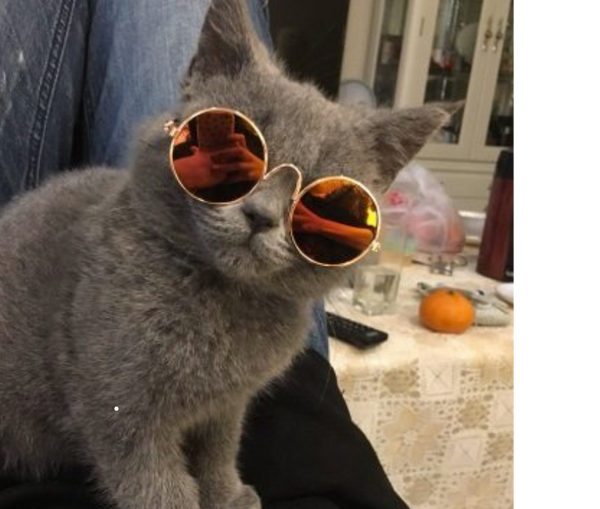 Pet Sunglasses