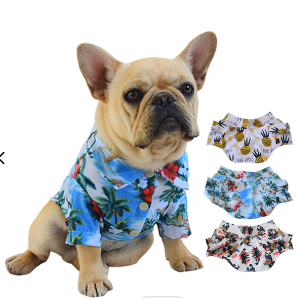 Fashionable Fun Print Button-Down Shirts for Small Dogs