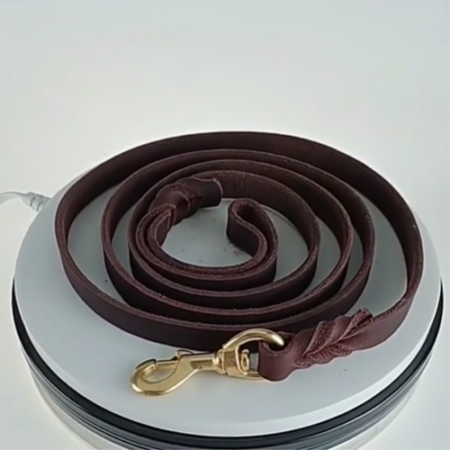 Leather Leash