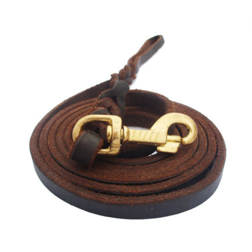 Leather Leash